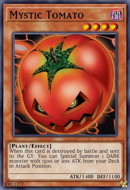 Mystic Tomato